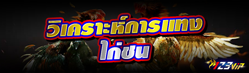 วิเคราะห์การแทงไก่ชน