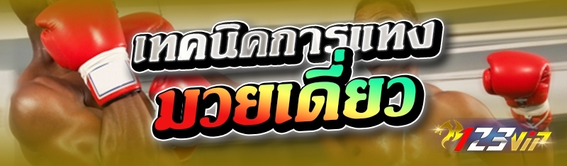เทคนิคการแทงมวยเดี่ยว 